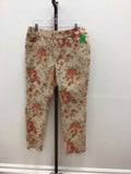D & Co. Size L tan & orange Jeans