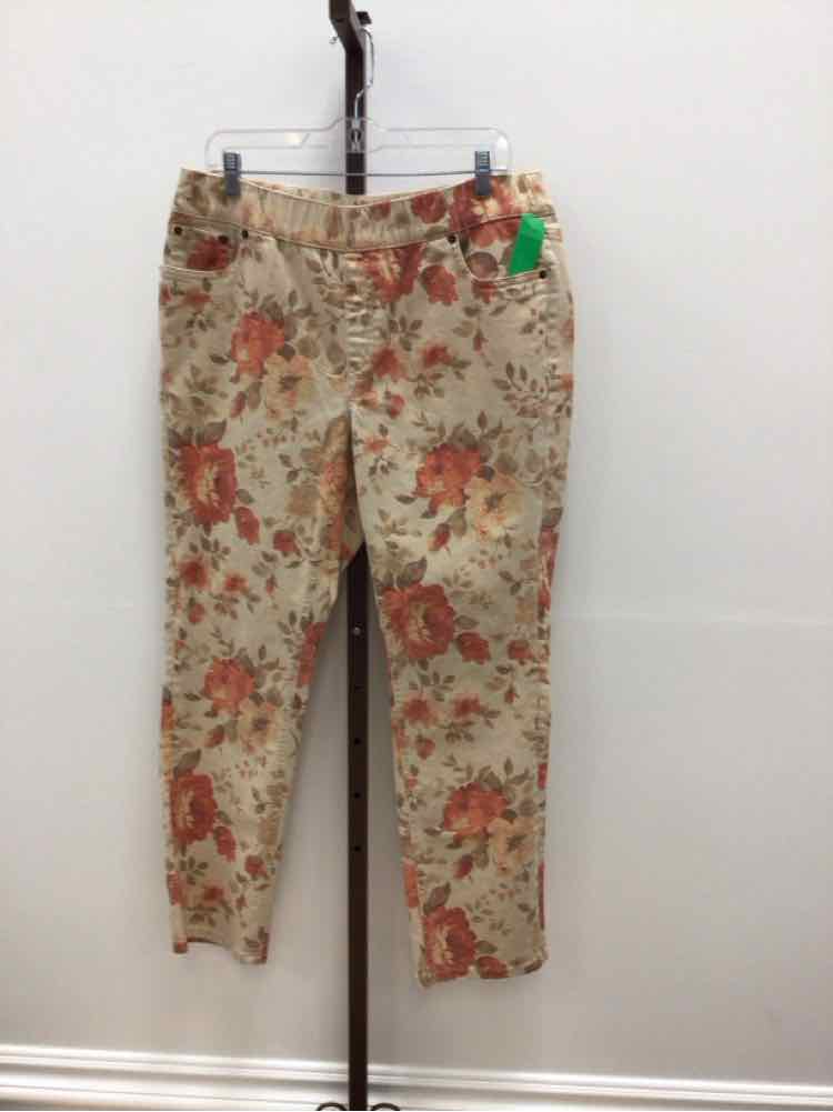 D & Co. Size L tan & orange Jeans
