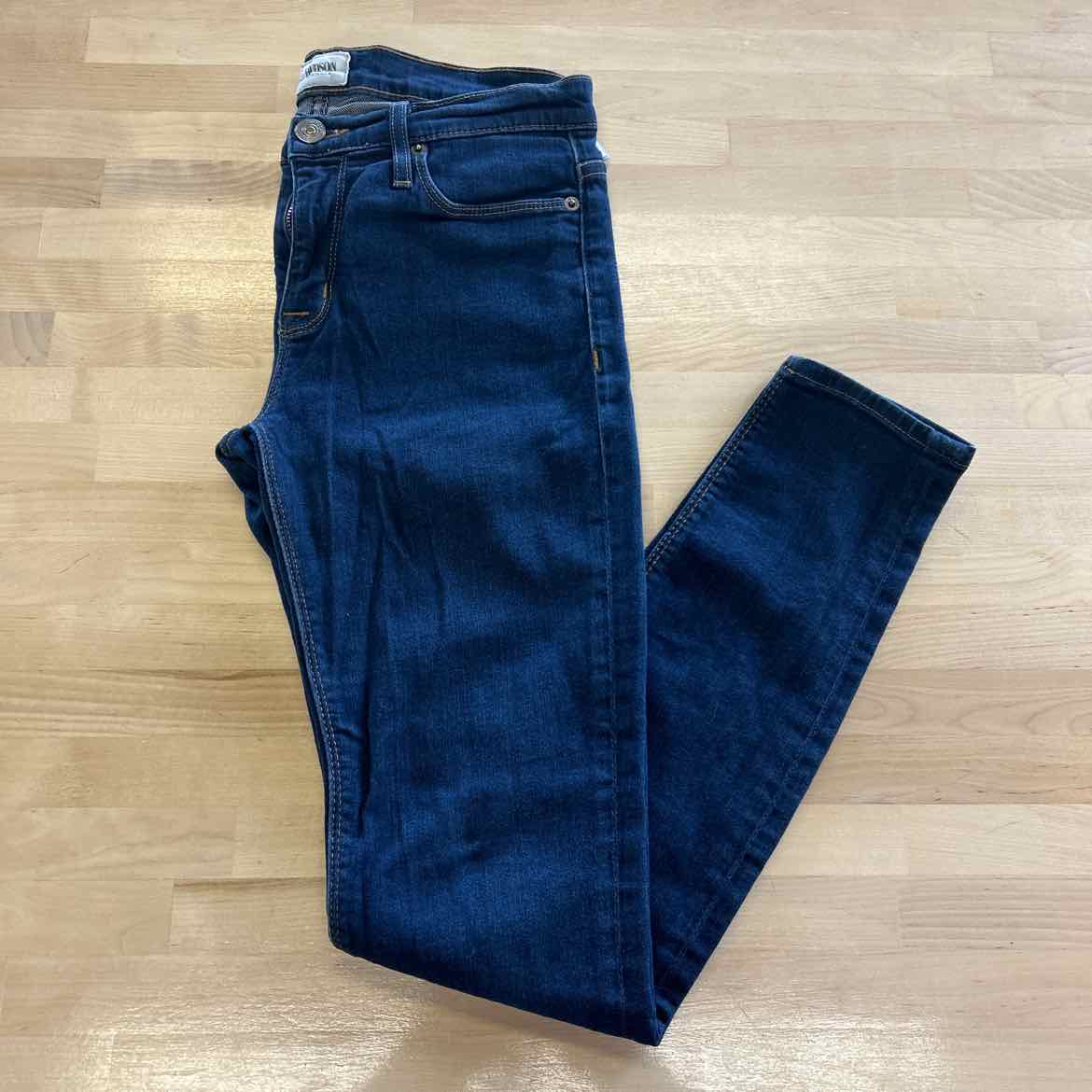 Hudson Size 26 Denim Pants