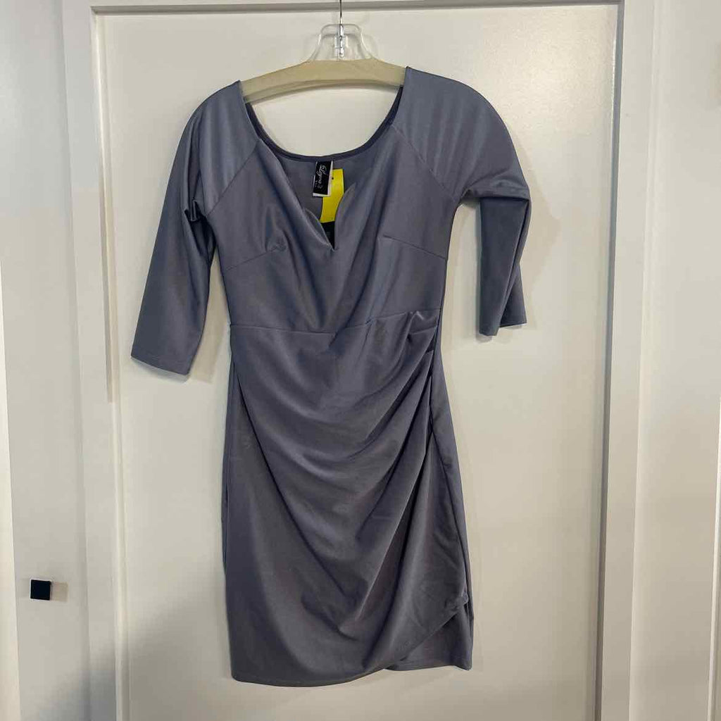 Leyvas Size S Silver Preloved Dress