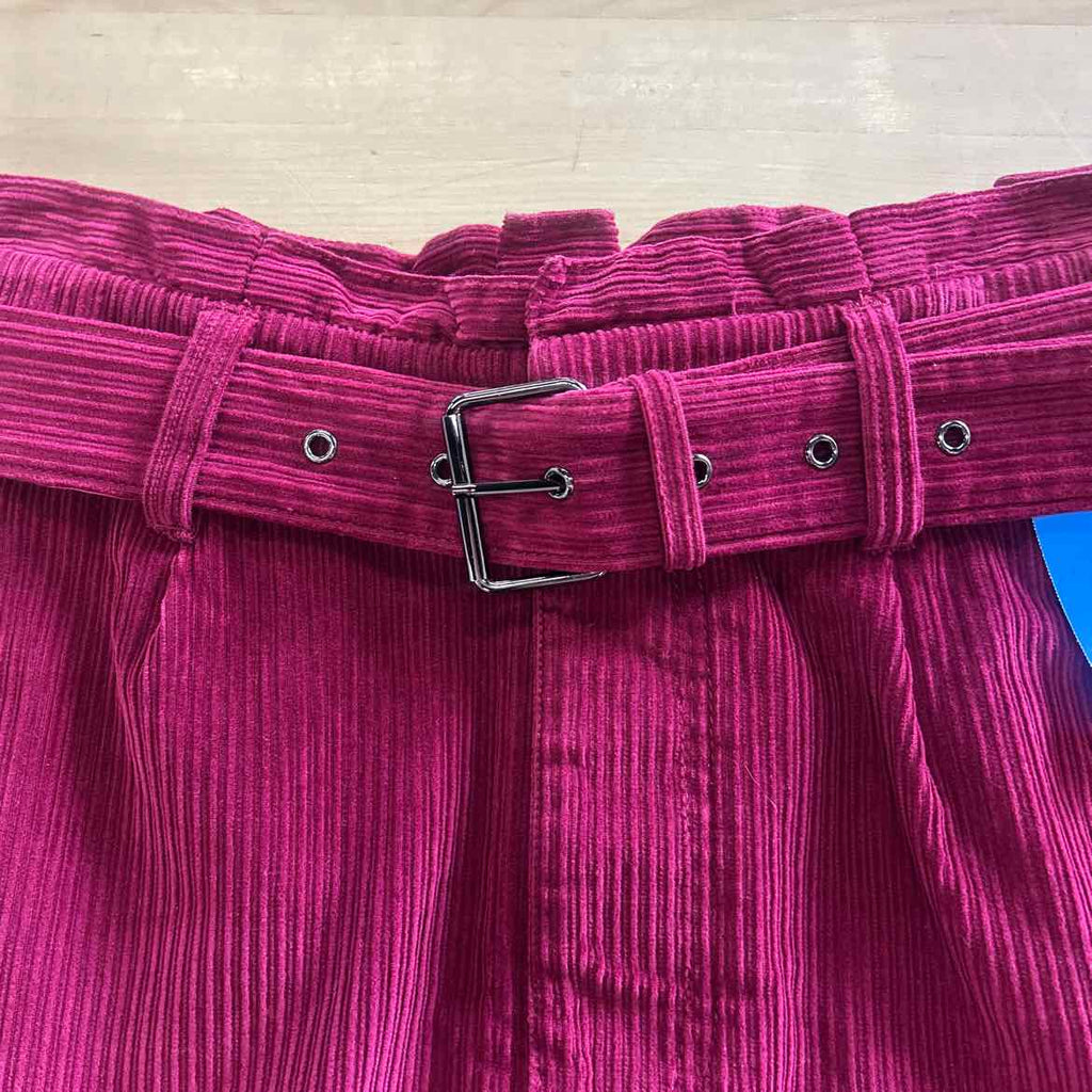 Express Size 4 Purple Corduroy Preloved Skirt