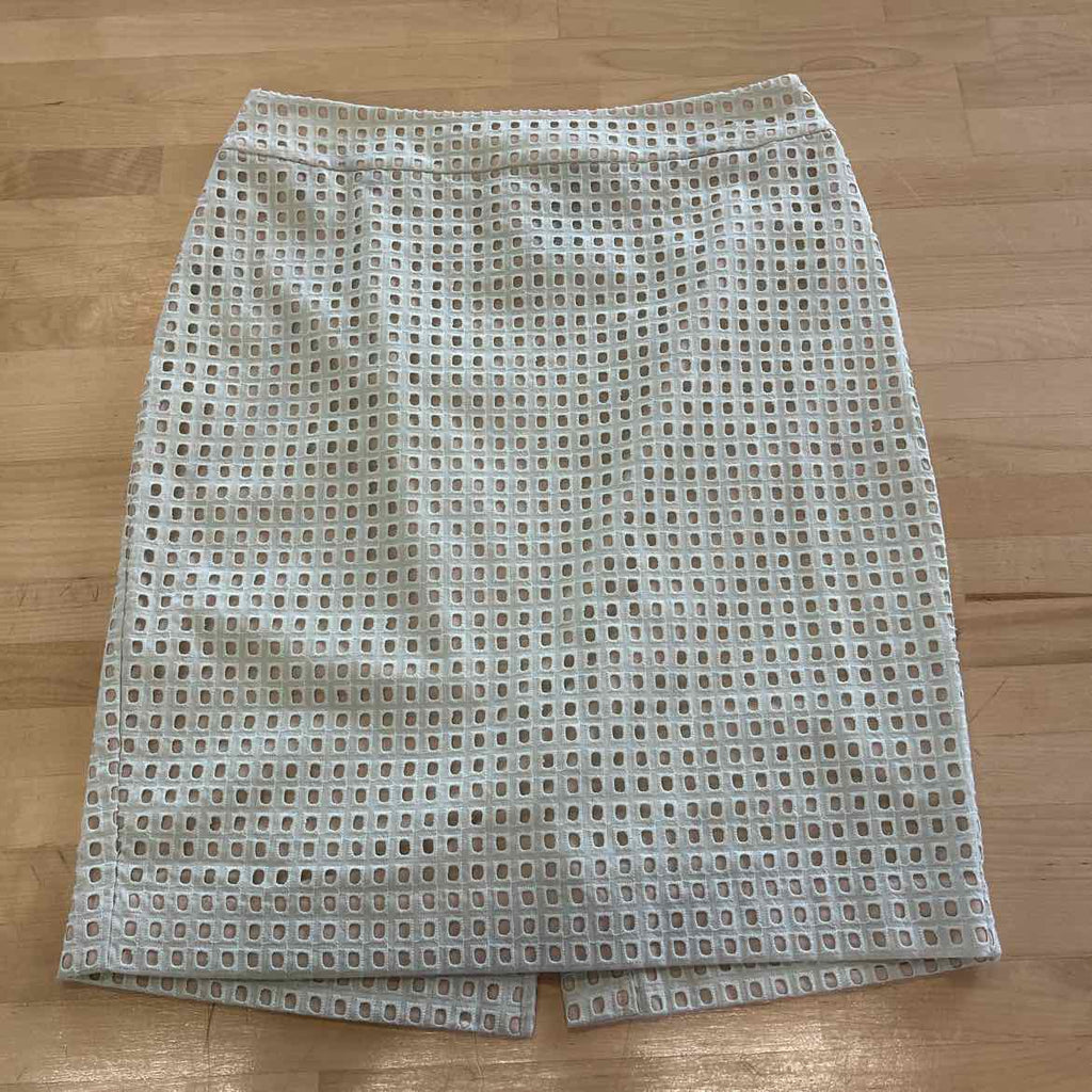 Ann Taylor Size 6P Green Preloved Skirt