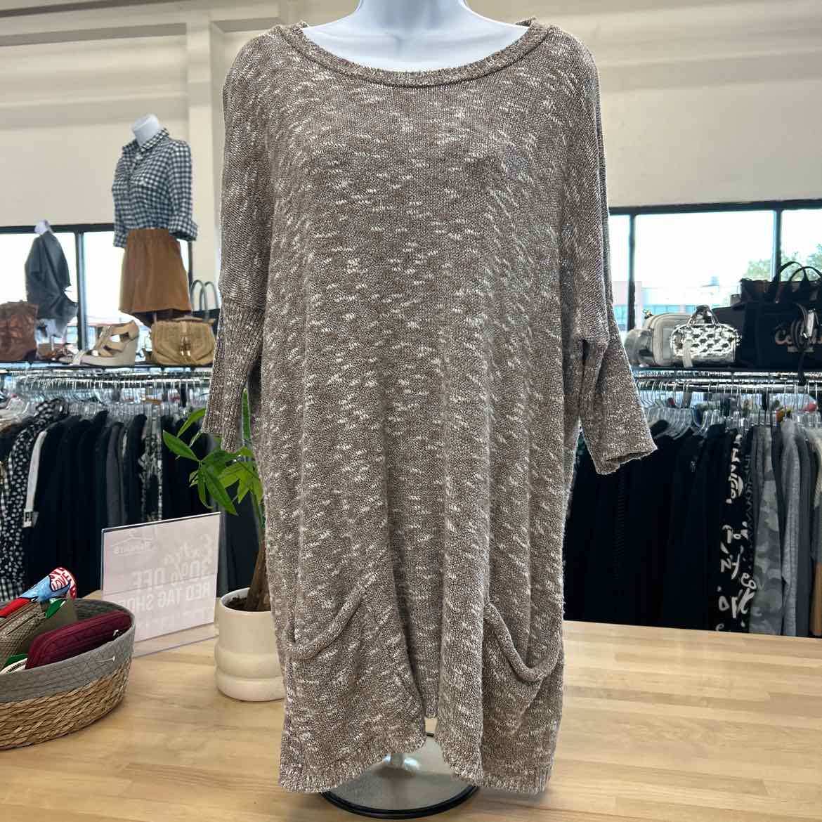 Express Size M/L Beige Sweater