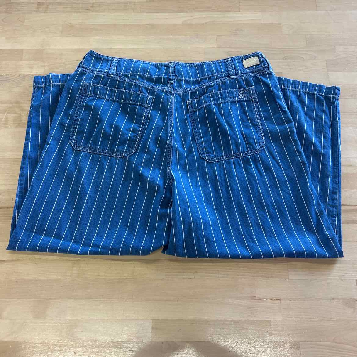 7 for all mankind Size 14 Blue Preloved Pants