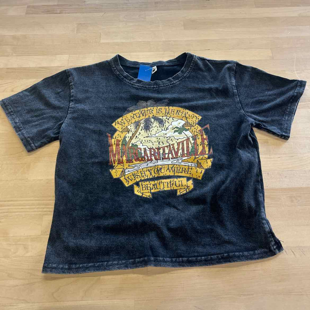 AssortedBrands Size 3 Gray Preloved T-Shirt SS
