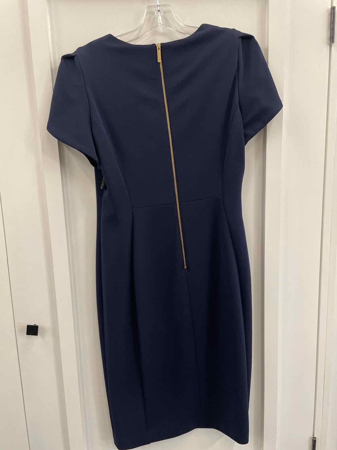 Calvin Klein Size 12 Blue Dress