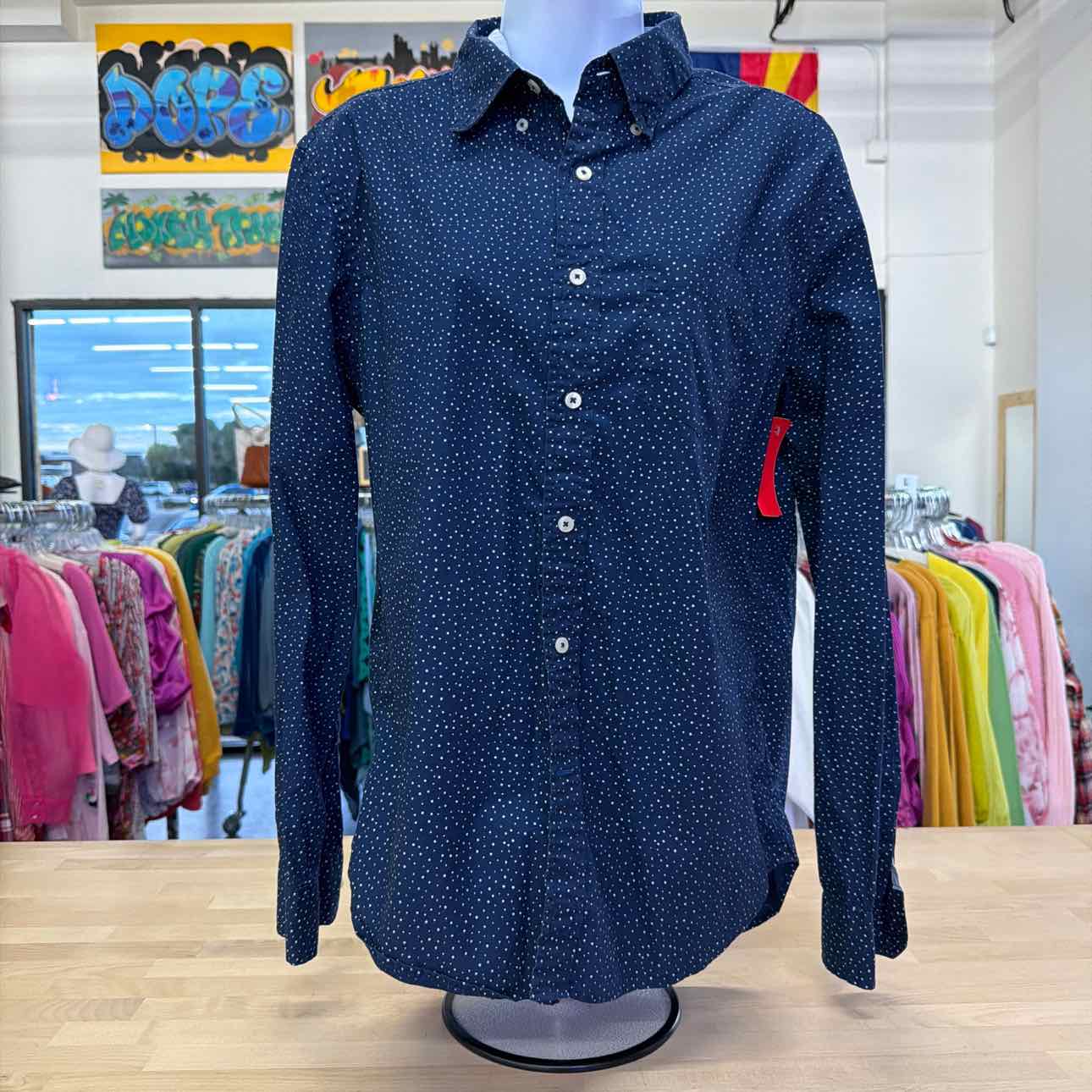American Eagle Size M Blue Preloved MENS Button Down Shirt