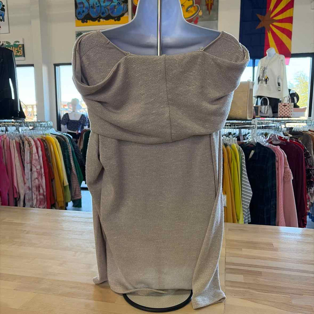 Chico's Size L Beige/Silver Sparkly Knit Used Long Sleeve