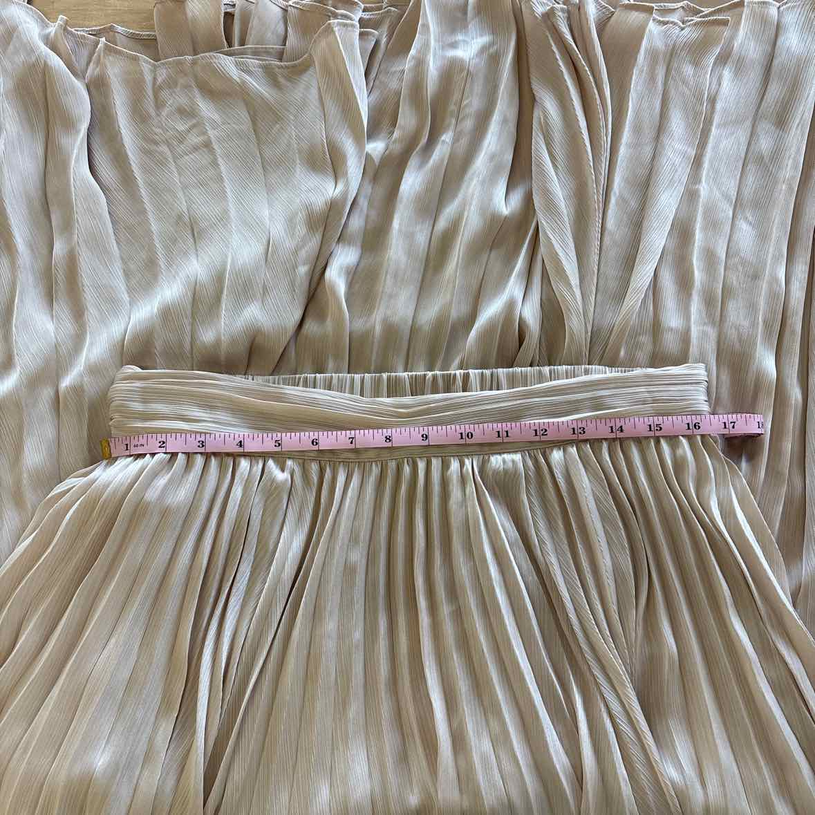 Banana Republic  Size L Champagne Maxi Length Pleated Skirt NWT