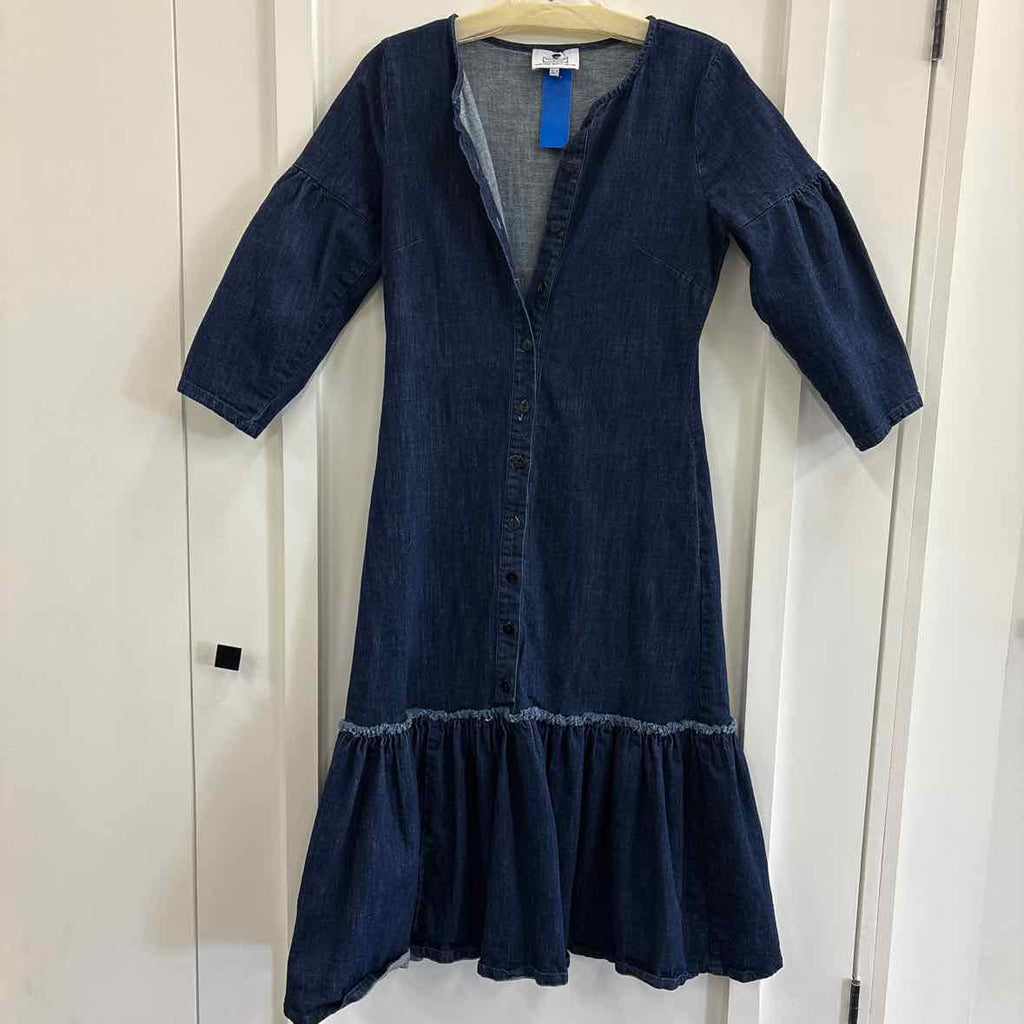 Danity Jewels Size XS Blue Dress