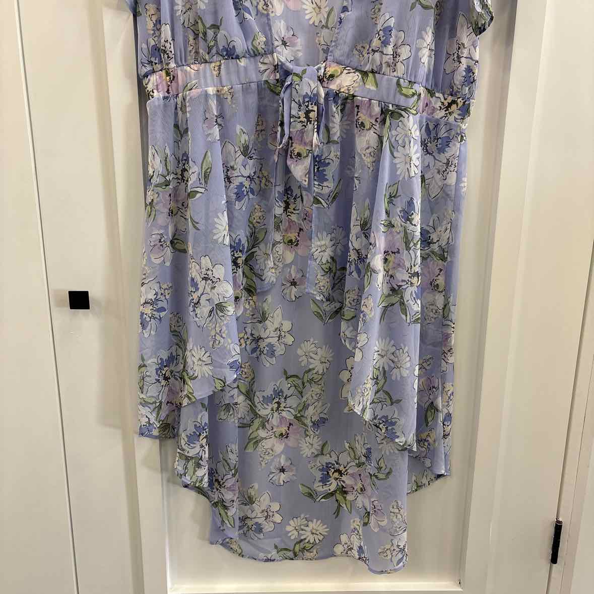 Forever 21 Size 1X Purple Dress