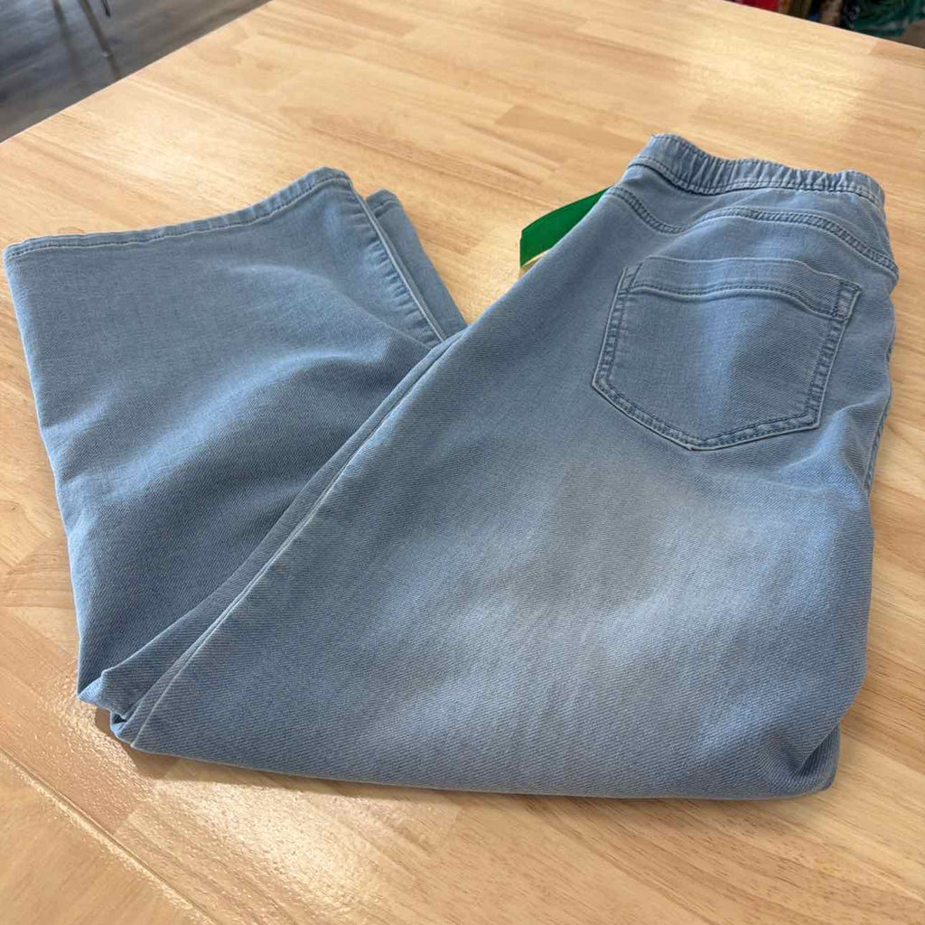 J Jill Size XS Blue Jeans