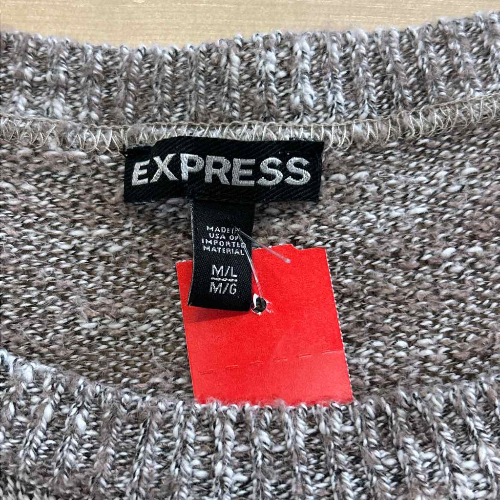 Express Size M/L Beige Sweater