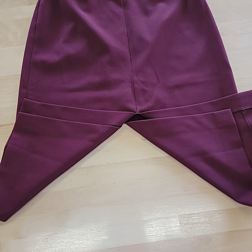 Cache Size 2 Burgundy Skirt