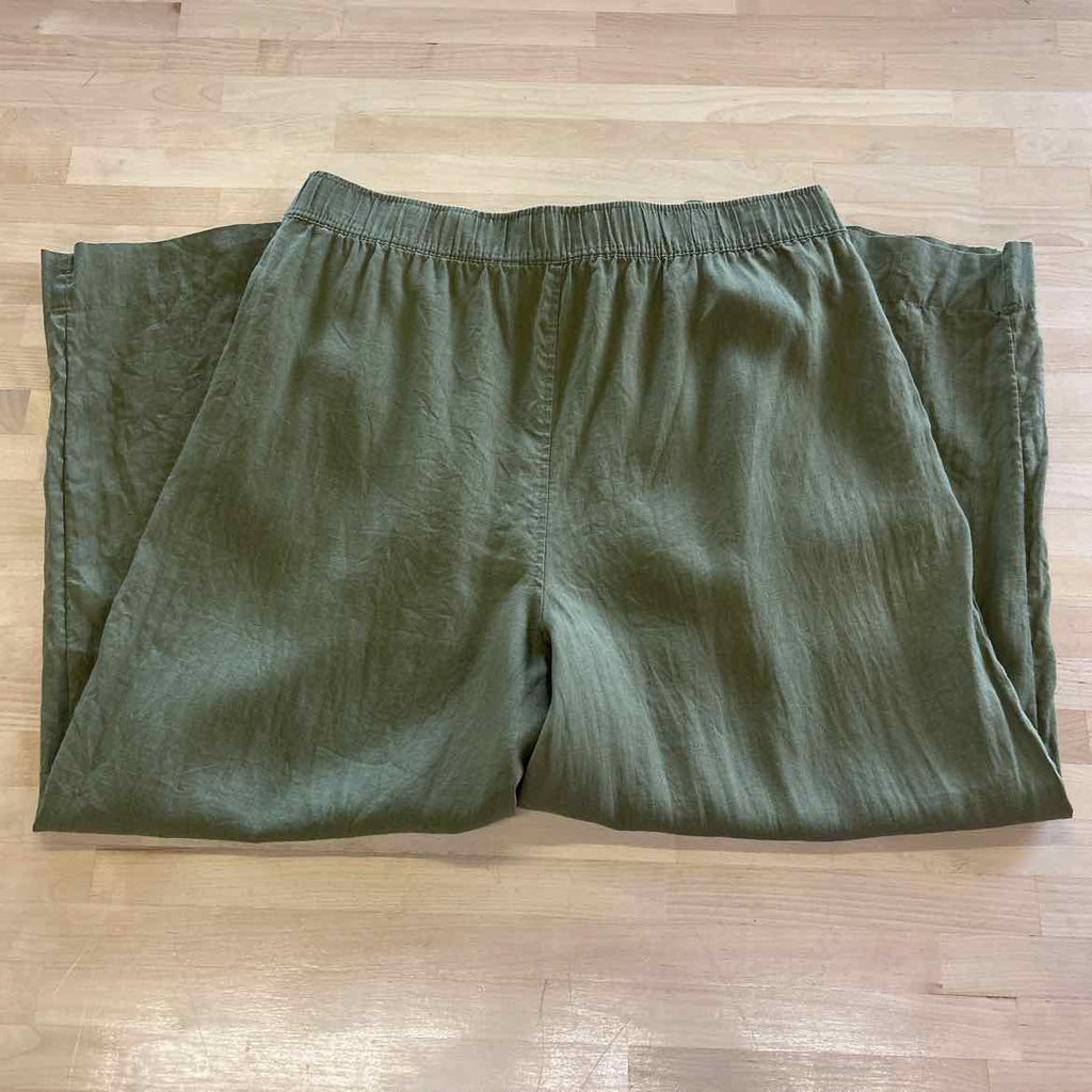 Tahari Size XL Green Preloved Pants