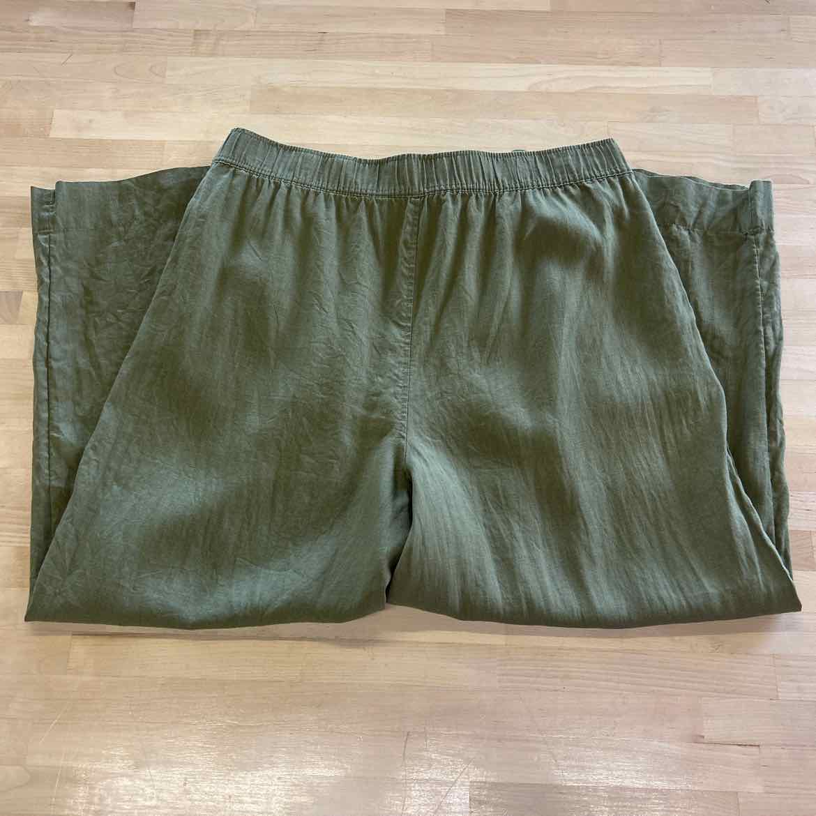 Tahari Size XL Green Preloved Pants