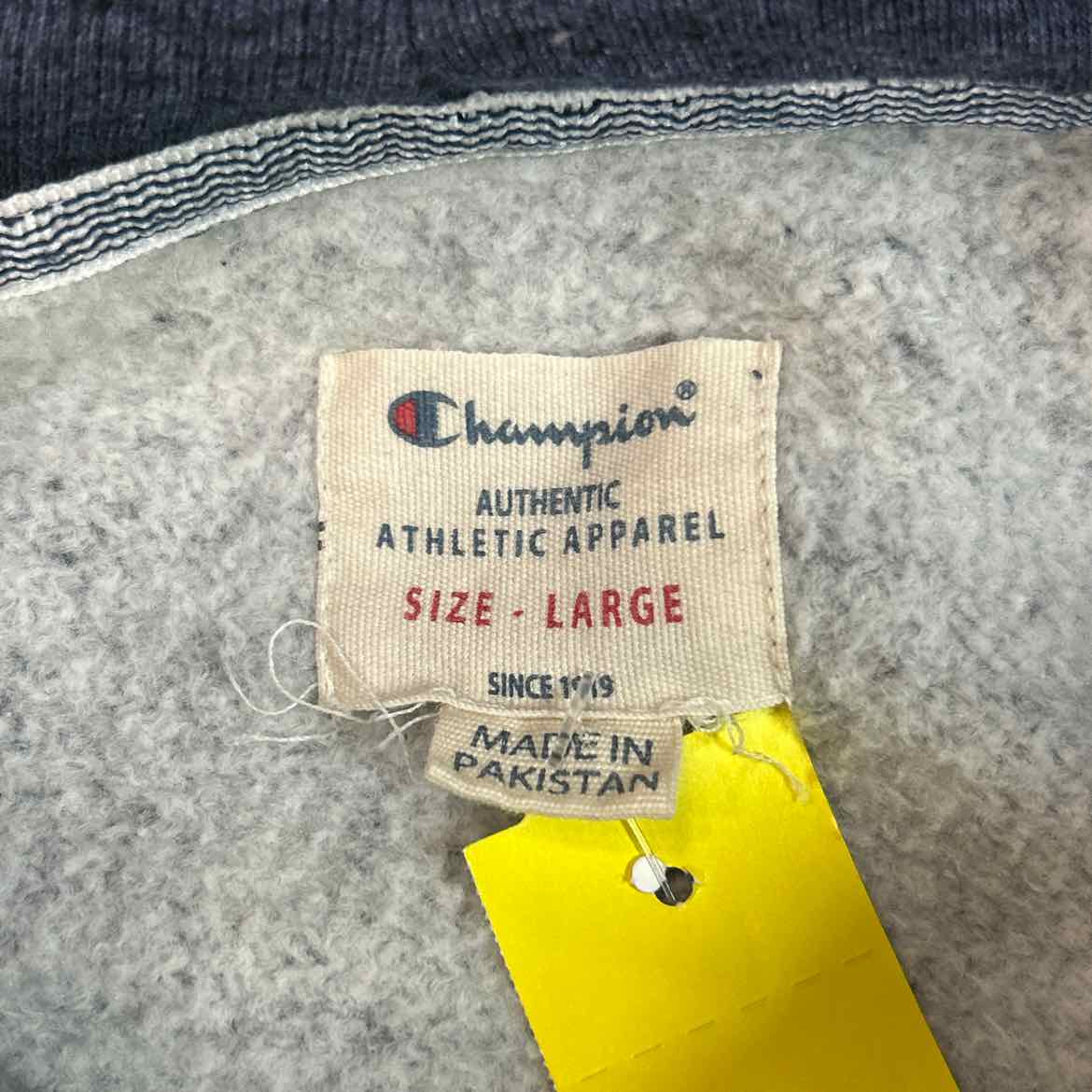 Champion Size L Gradient Preloved Hoodie