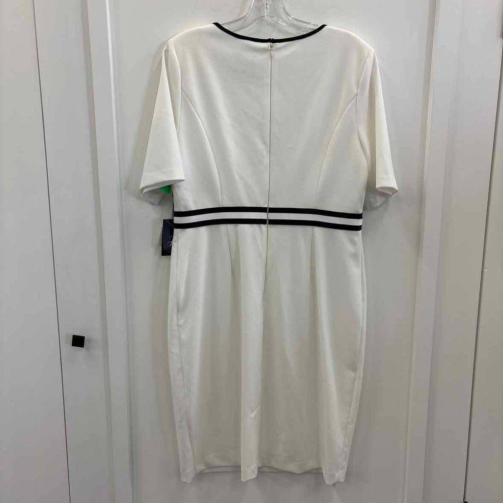 Adrianna Papell Size 14 White & Black New Dress
