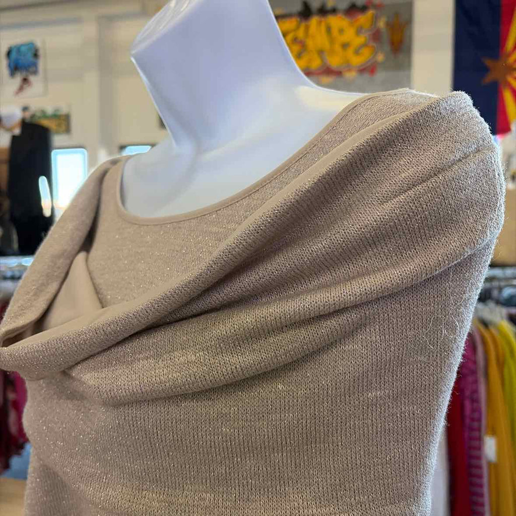 Chico's Size L Beige/Silver Sparkly Knit Used Long Sleeve