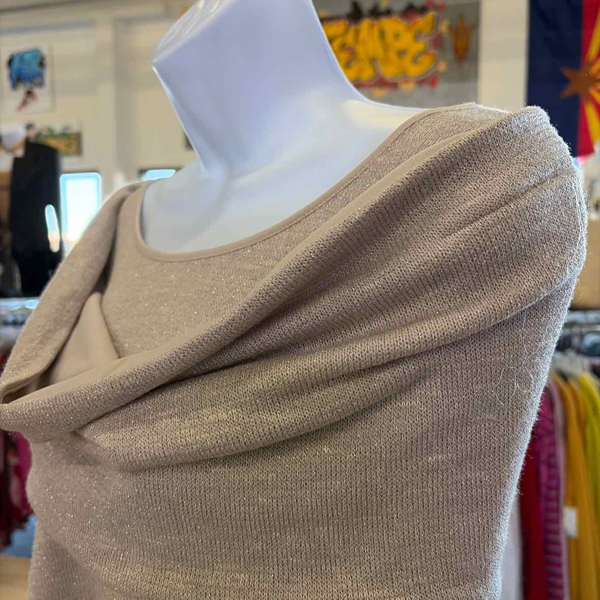 Chico's Size L Beige/Silver Sparkly Knit Used Long Sleeve