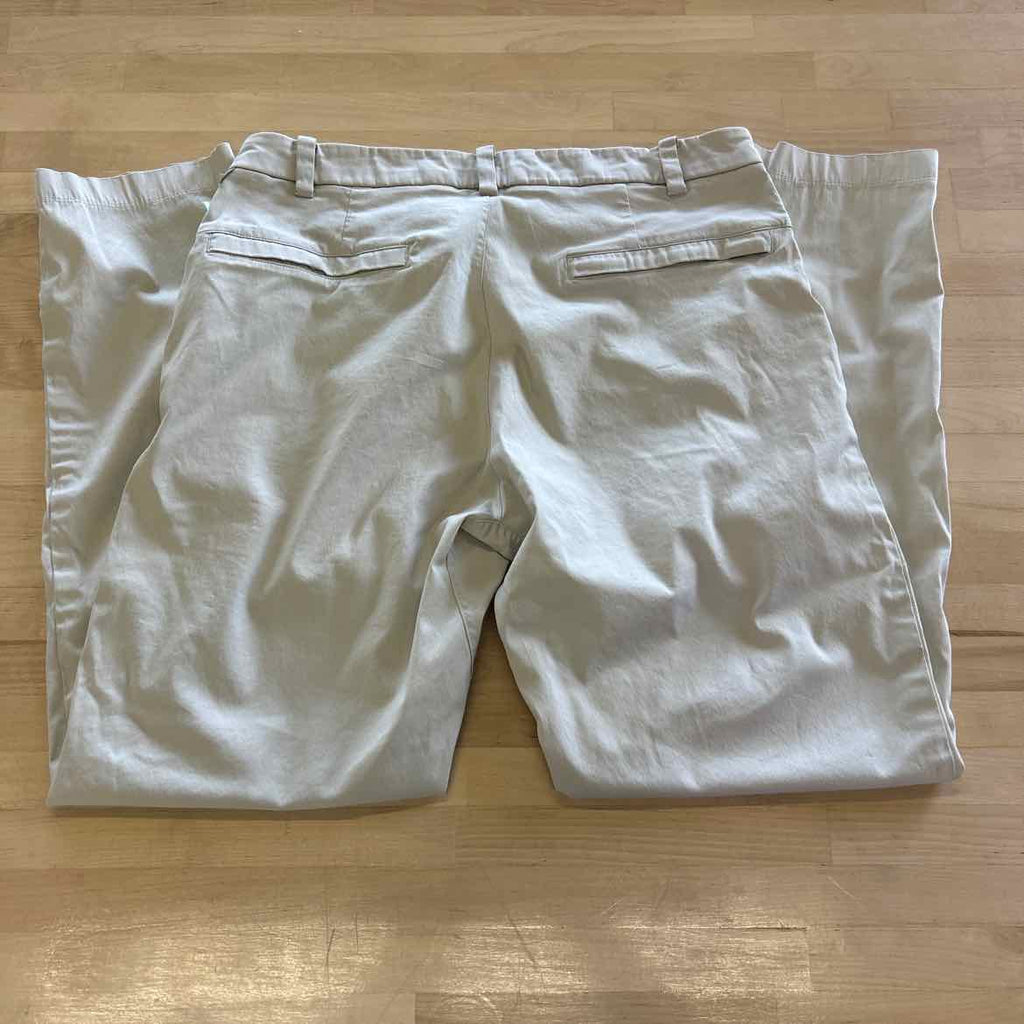 LuluLemon Size 31 Beige MENS Pants