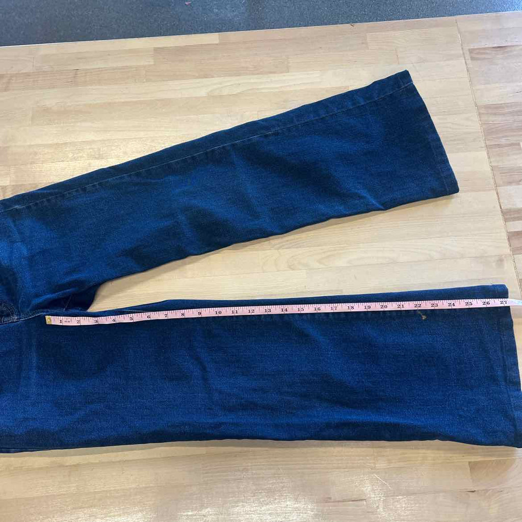 Everlane Size 26 Blue Denim Used Jeans