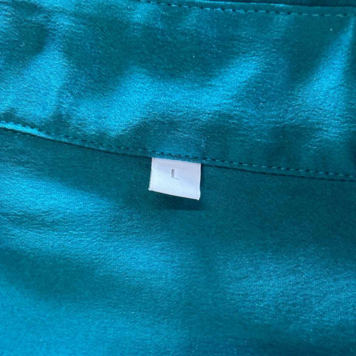 Slipintosoft Size L Blue Mulberry Silk Preloved Button Down LS