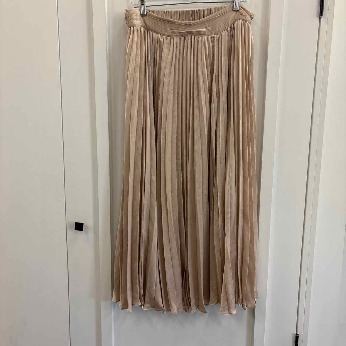 Banana Republic  Size L Champagne Maxi Length Pleated Skirt NWT