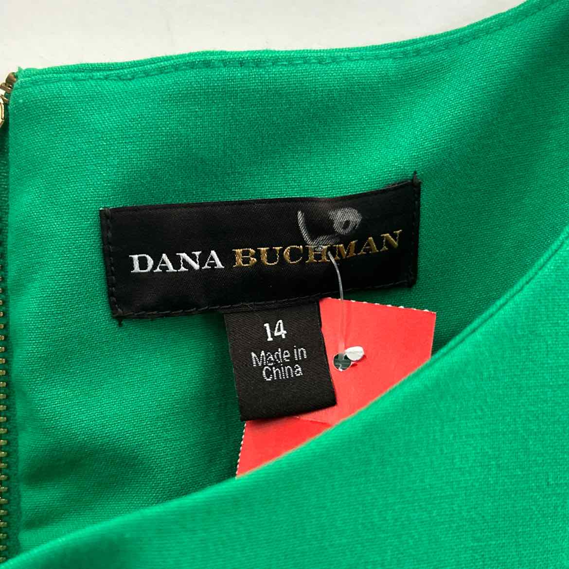 Dana Buchman Size 14 Green Preloved Dress
