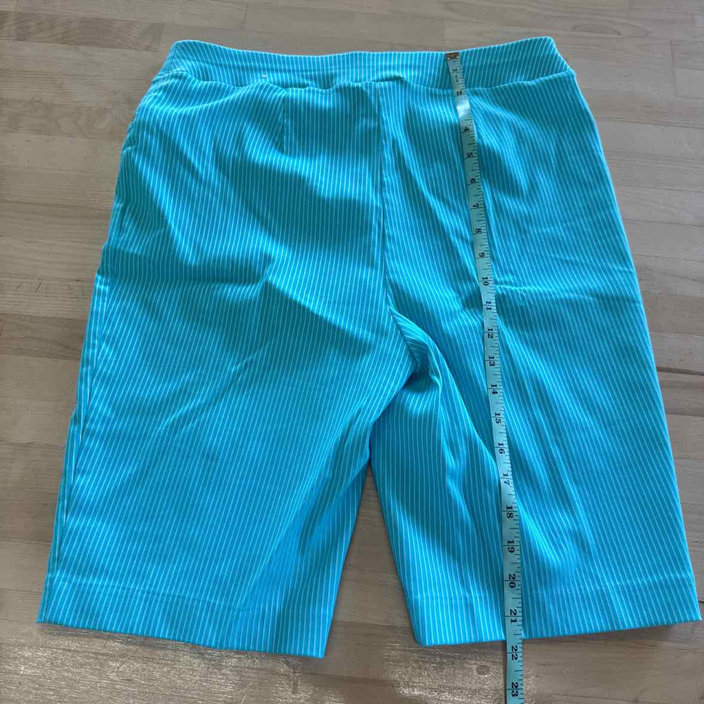 Chico's Women Size M Blue Preloved Shorts