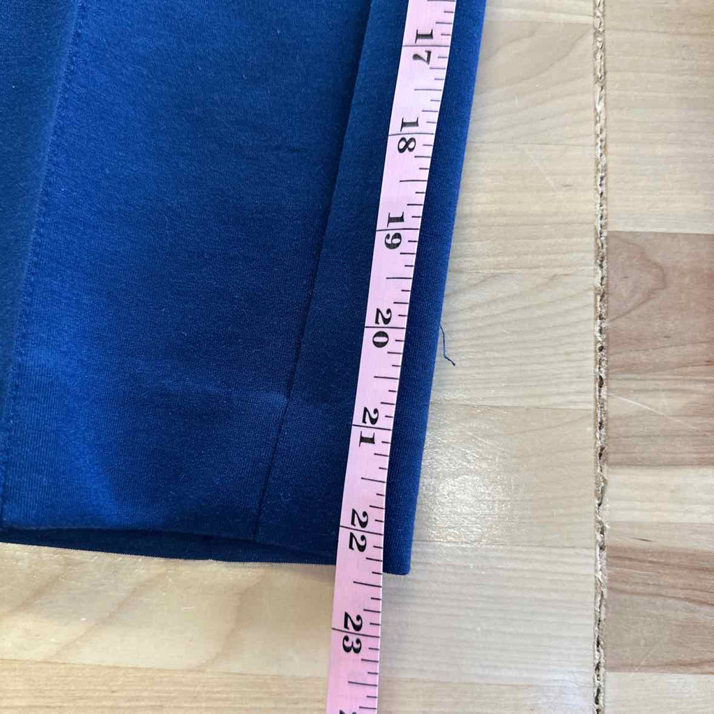 Ann Taylor Size 6P Blue Pants