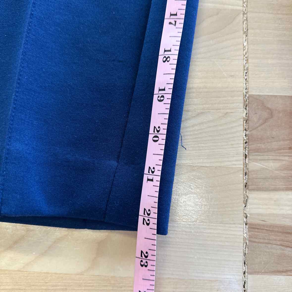 Ann Taylor Size 6P Blue Pants