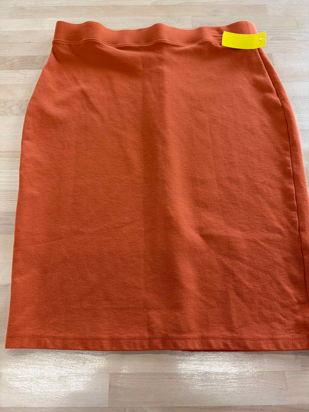 Iris Size 1X Orange Skirt