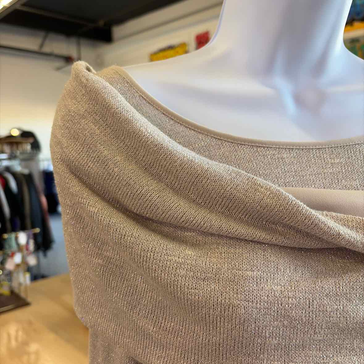 Chico's Size L Beige/Silver Sparkly Knit Used Long Sleeve