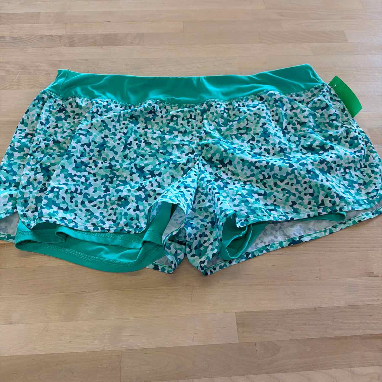 Danskin Women Size XL Green Preloved Shorts