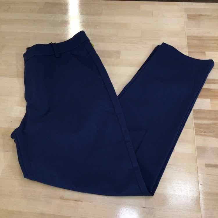 Gingtto Size 36 Blue MENS Pants