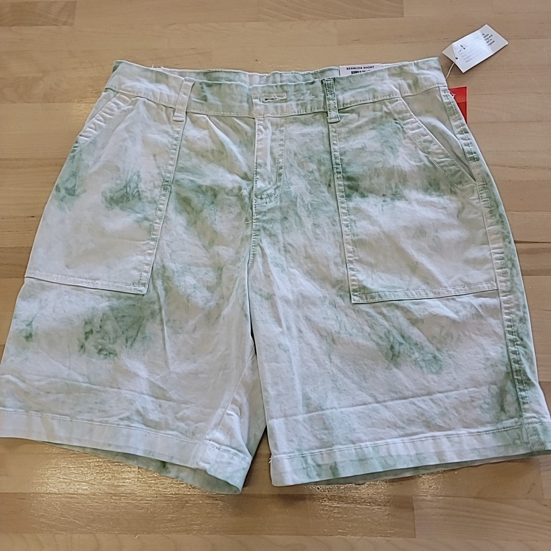 Style & Co. Size 10P Green Shorts