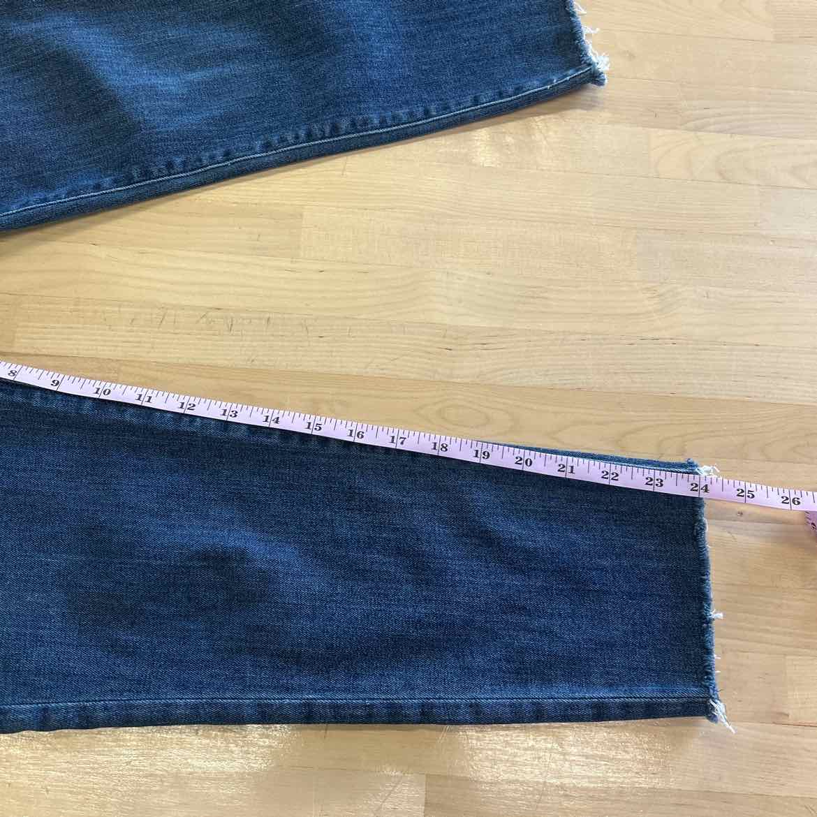 Hudson Size 28 Blue Denim Preloved Jeans