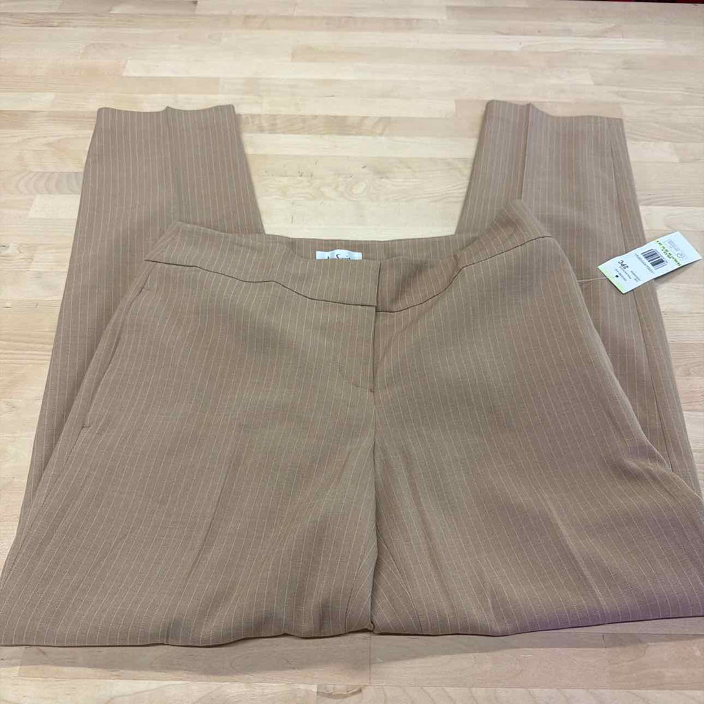 Le Suit Size 4 Tan New 2 pc Dress Set