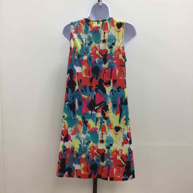 Simple Fun Size S Multi Color Preloved Dress