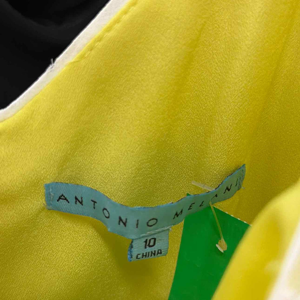 Antonio Melani Size 10 Yellow Mesh Preloved Dress