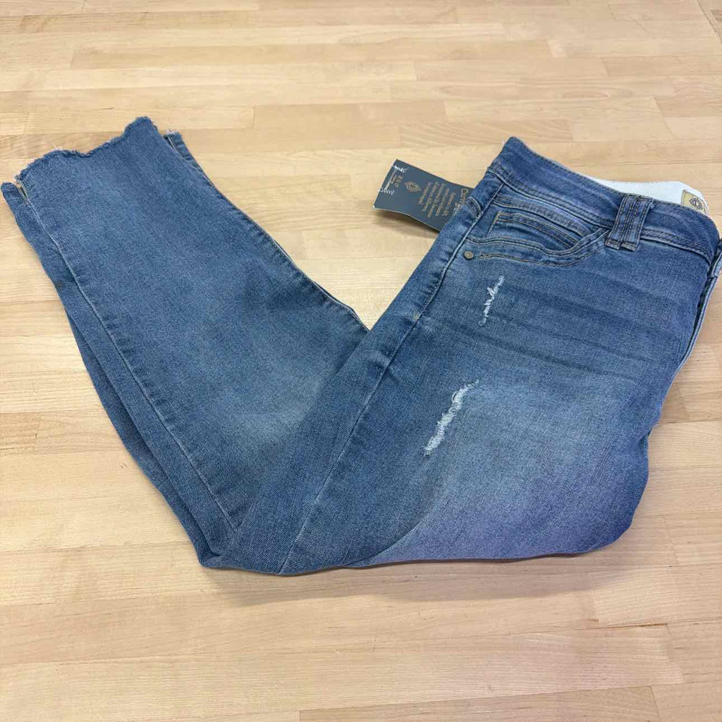 Democracy Women's "Ab" Solution Slim Straight Leg Jean