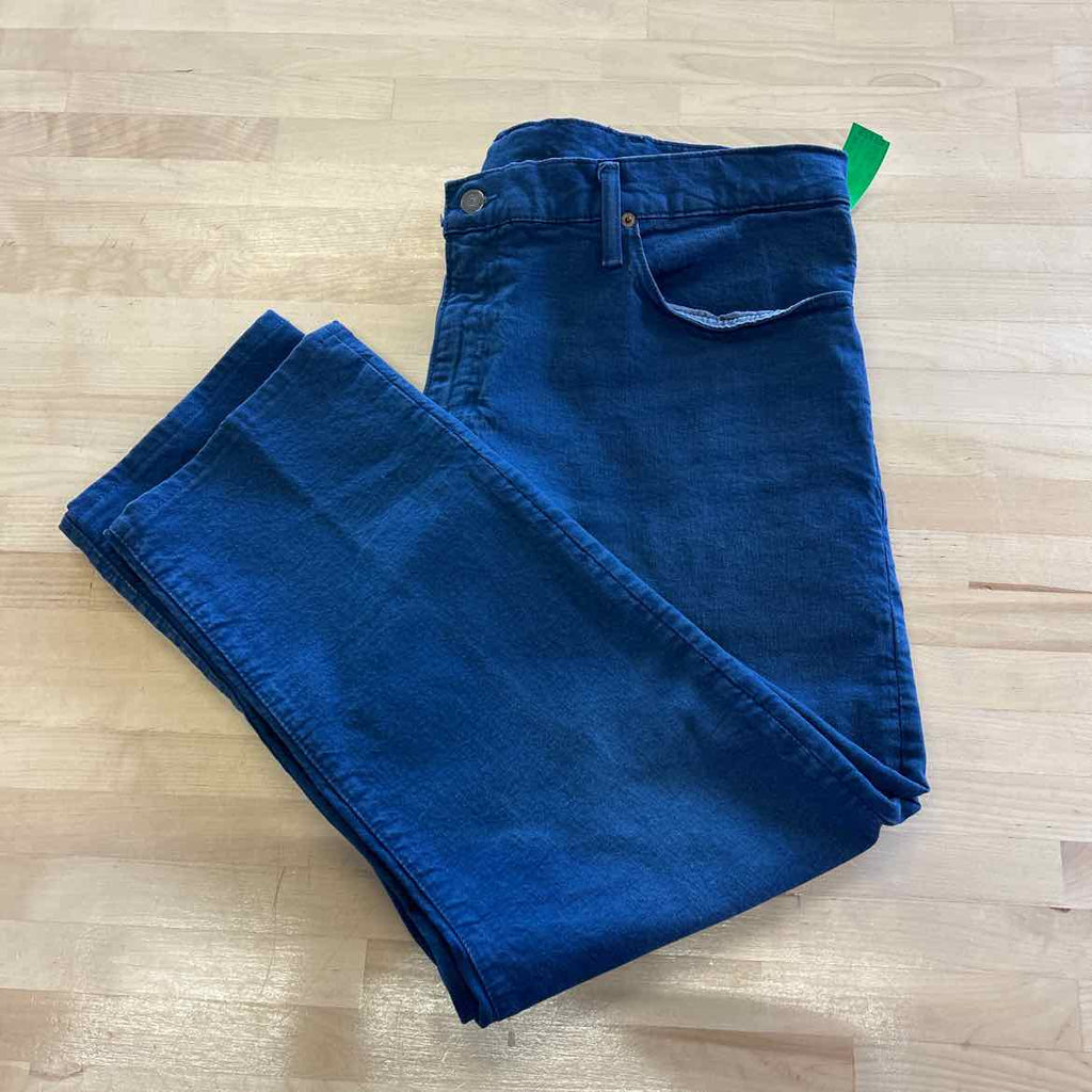 Ralph Lauren Size 42x30 Blue MENS Pants