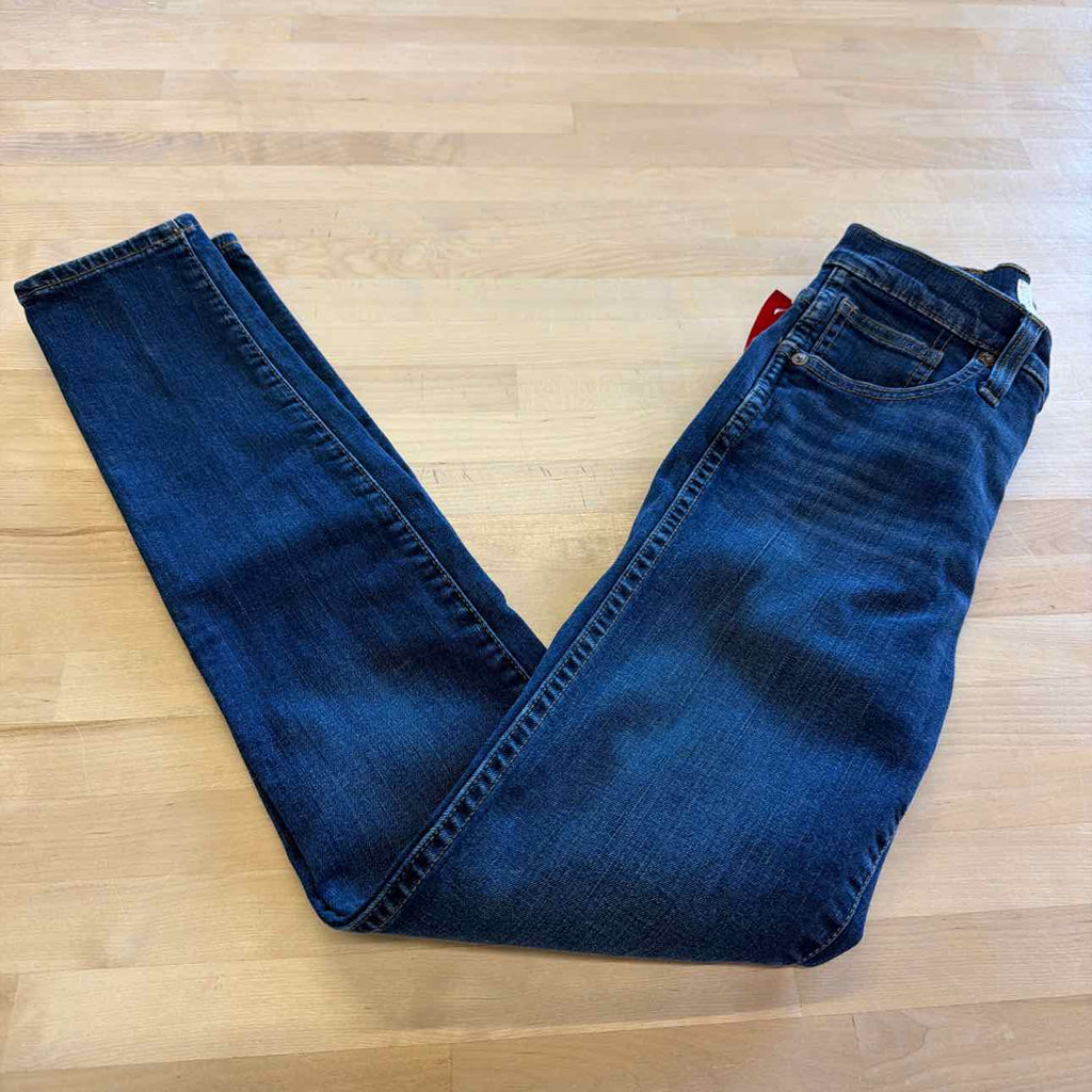 Madewell Size 24 Blue Denim Preloved Jeans