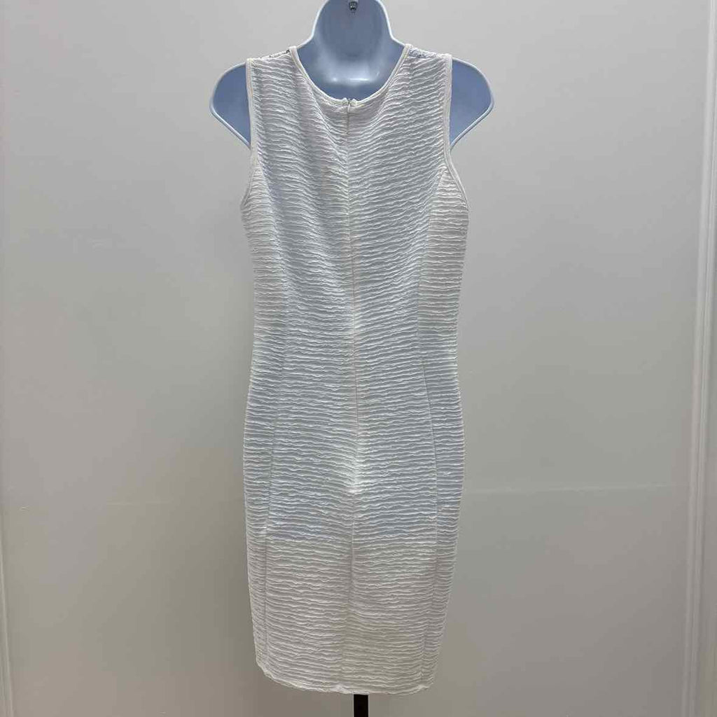 NY Collection Size 10P Novelty Knit and Lace Dresss