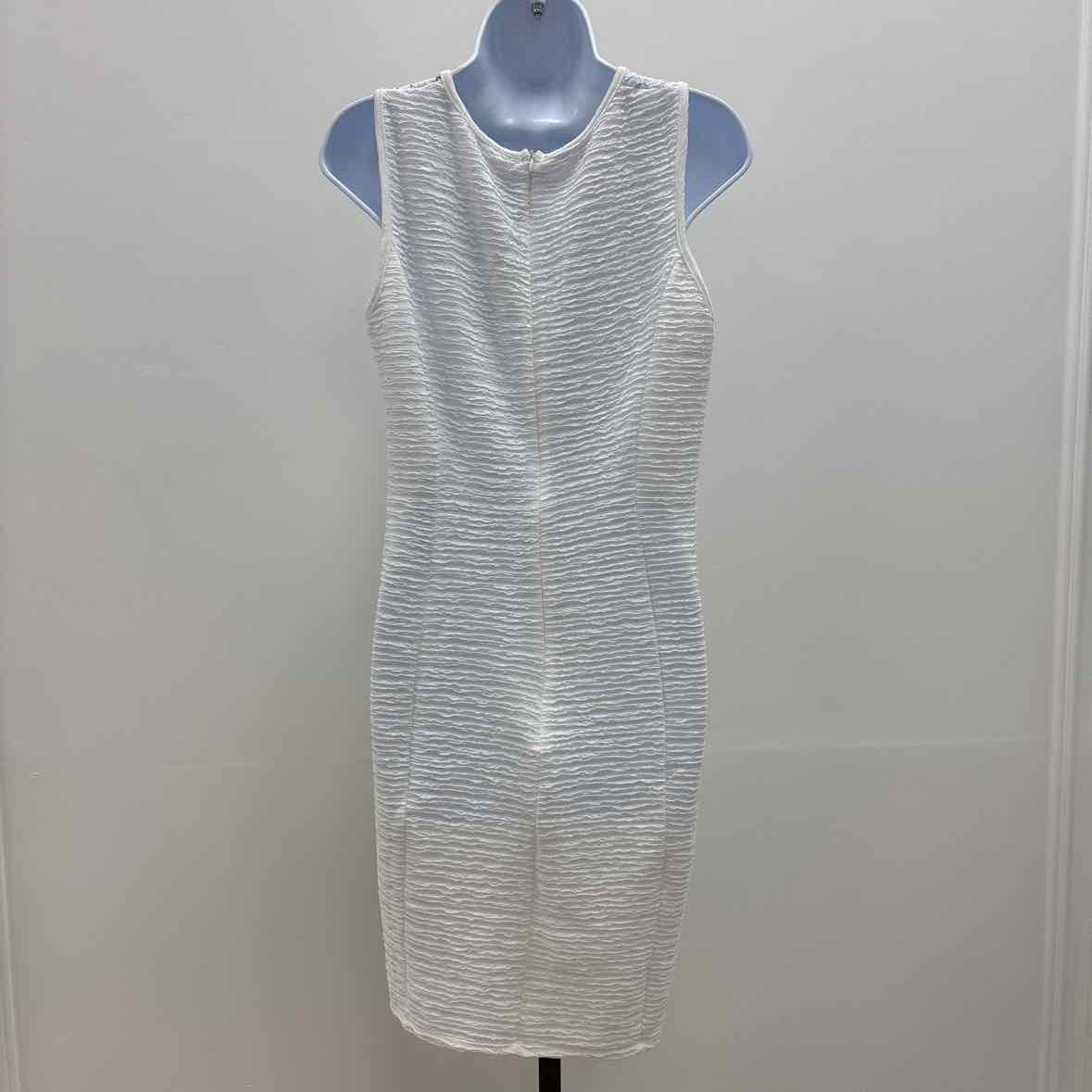 NY Collection Size 10P Novelty Knit and Lace Dresss