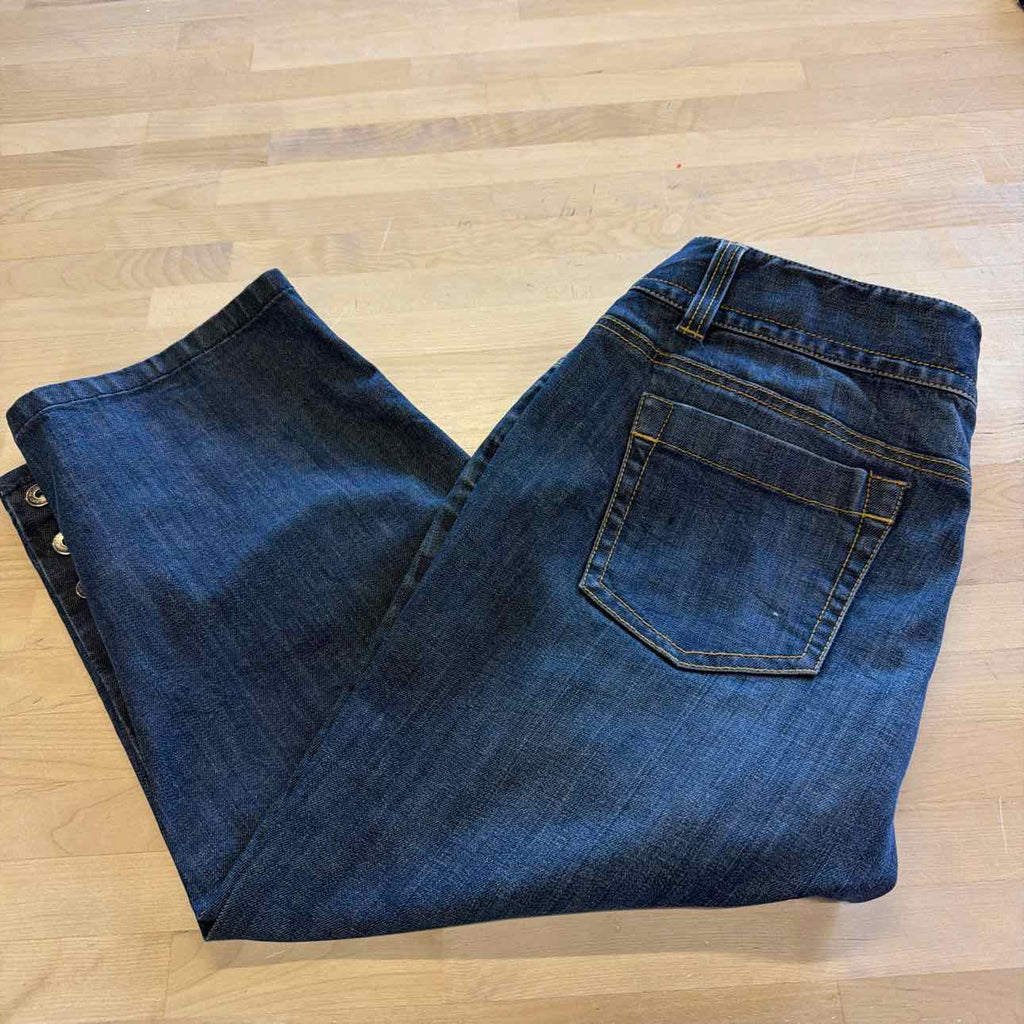 Ann Taylor Size 10 Blue Denim Preloved Capris