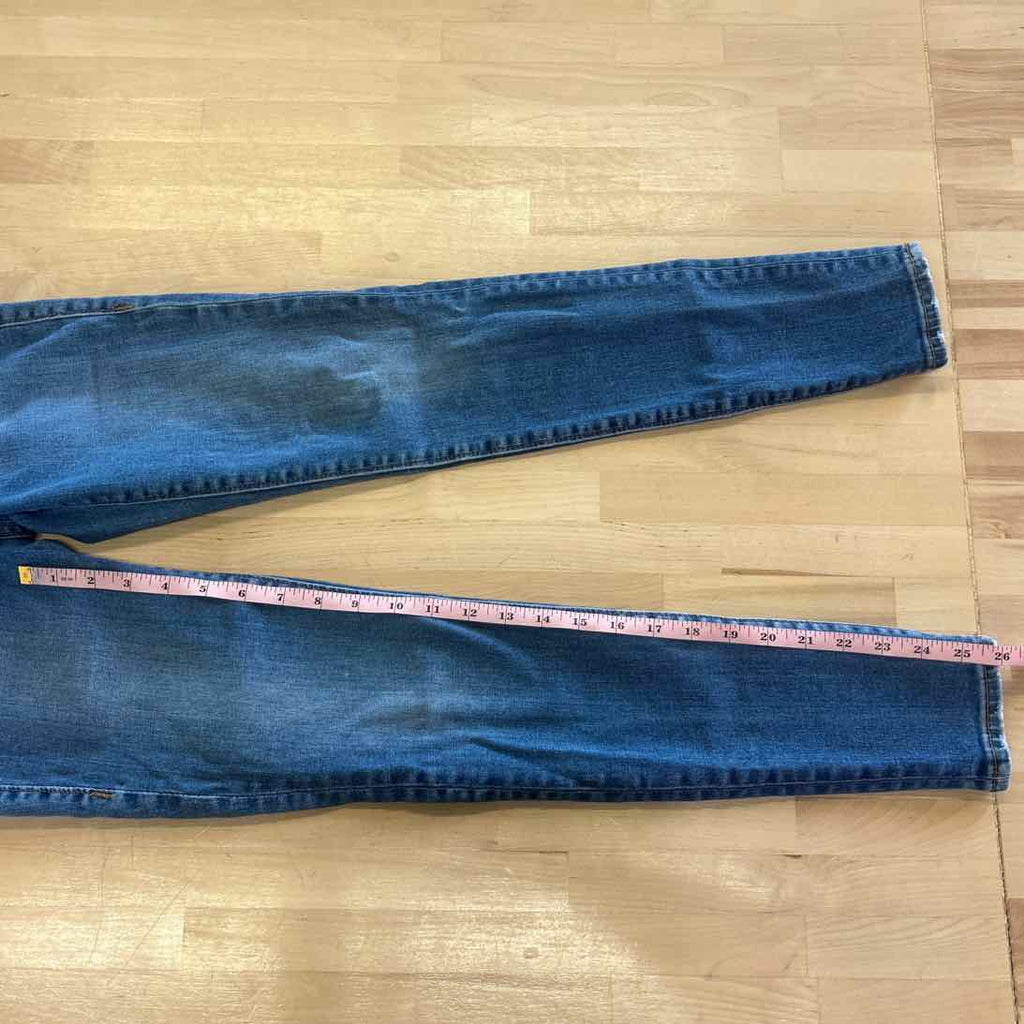 True Religion Size 24 Blue Denim Preloved Jeans