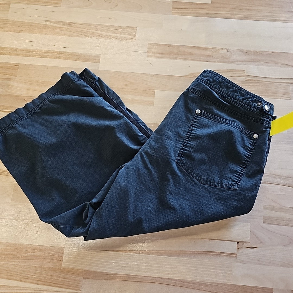 Danskin Size L Black Capris