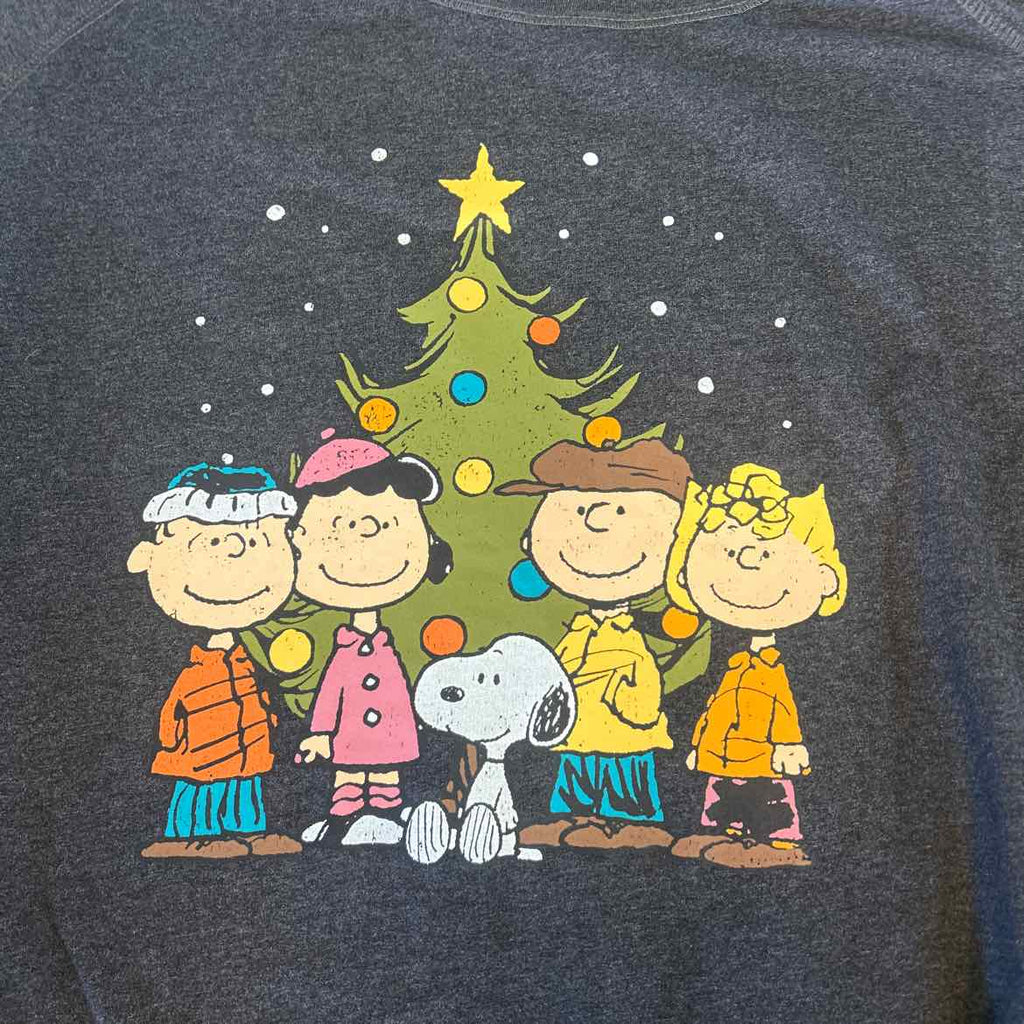 Peanuts Size 3XW Gray Sweater